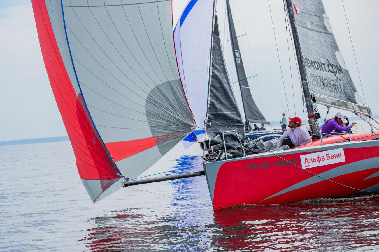 Огни Венца 2024