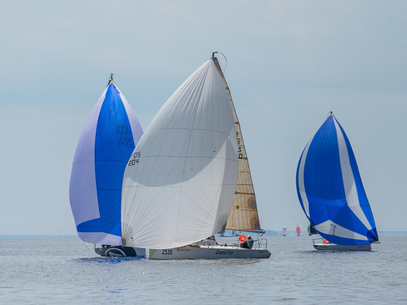 Огни Венца 2024